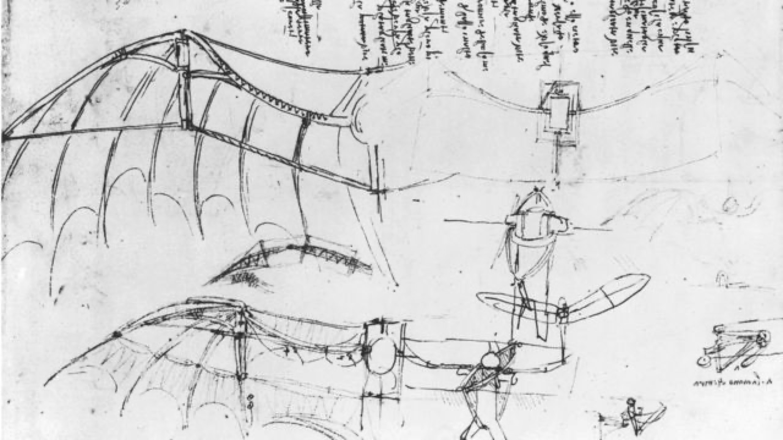 Leonardo da Vinci'nin Uçan Makine Tasarımı