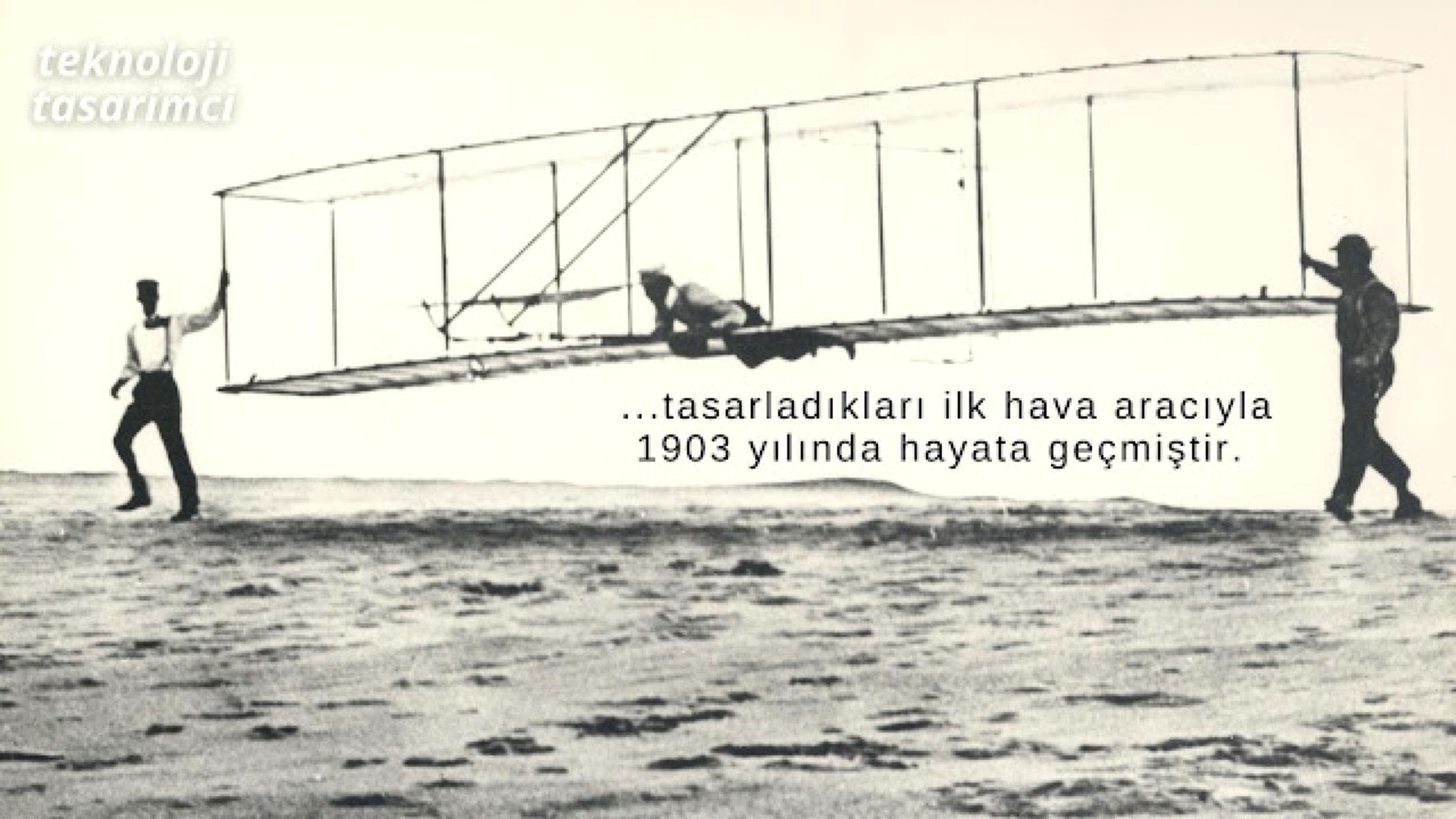 Biyotaklit örnekleri