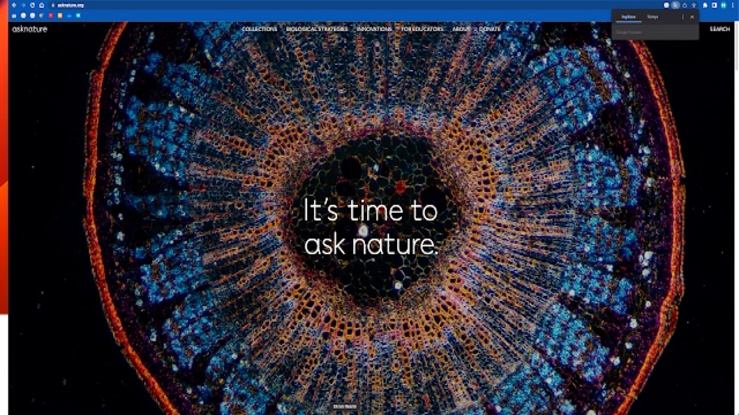 AskNature veritabanı