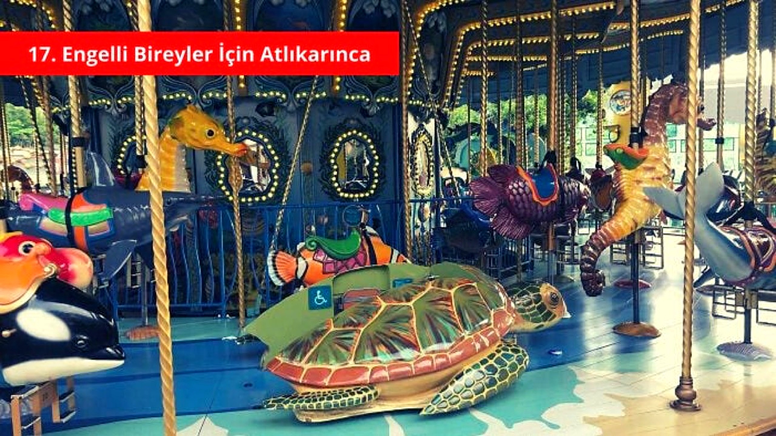 Engelli atlıkarınca