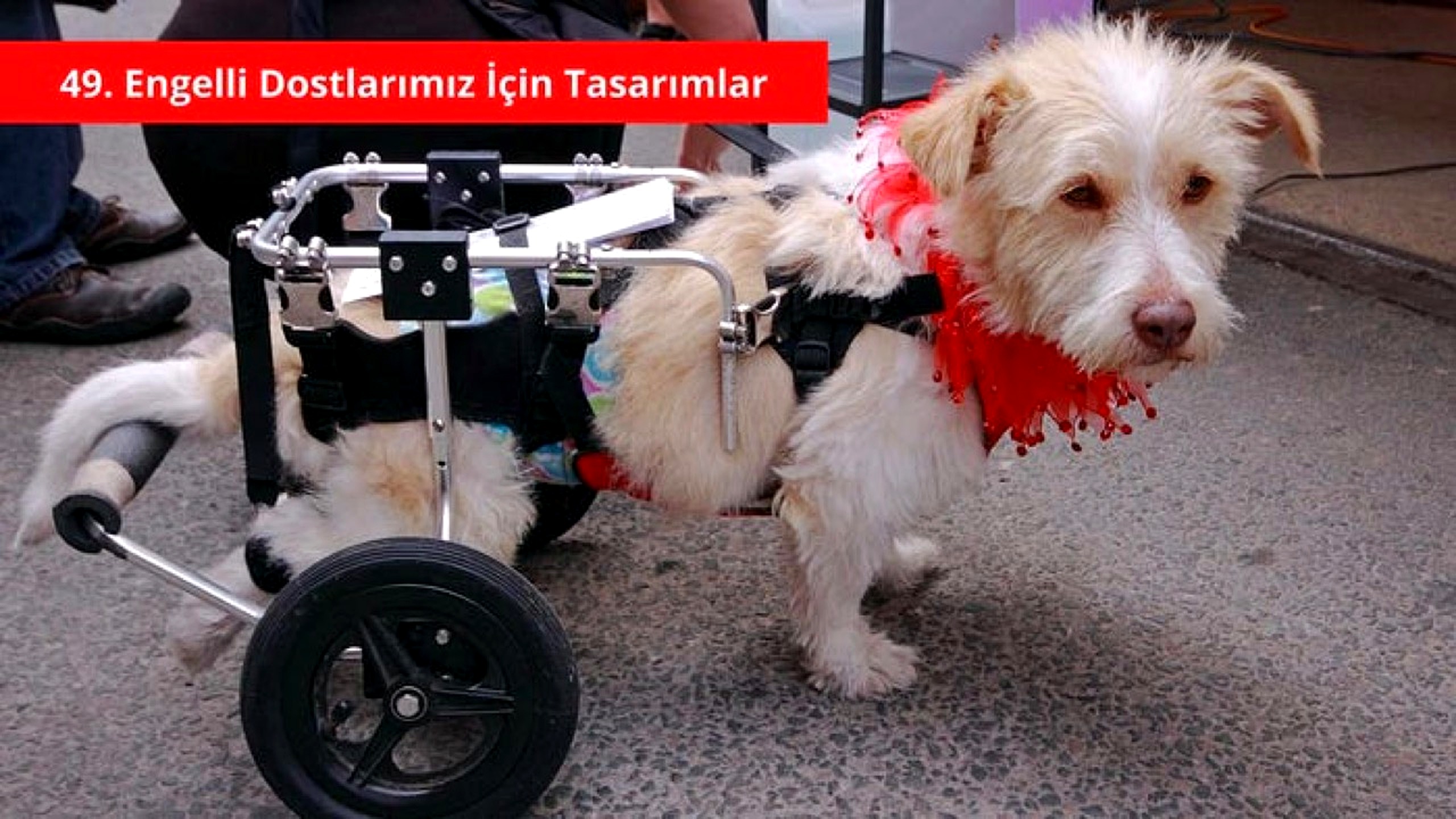 Engelli dostu tasarımlar