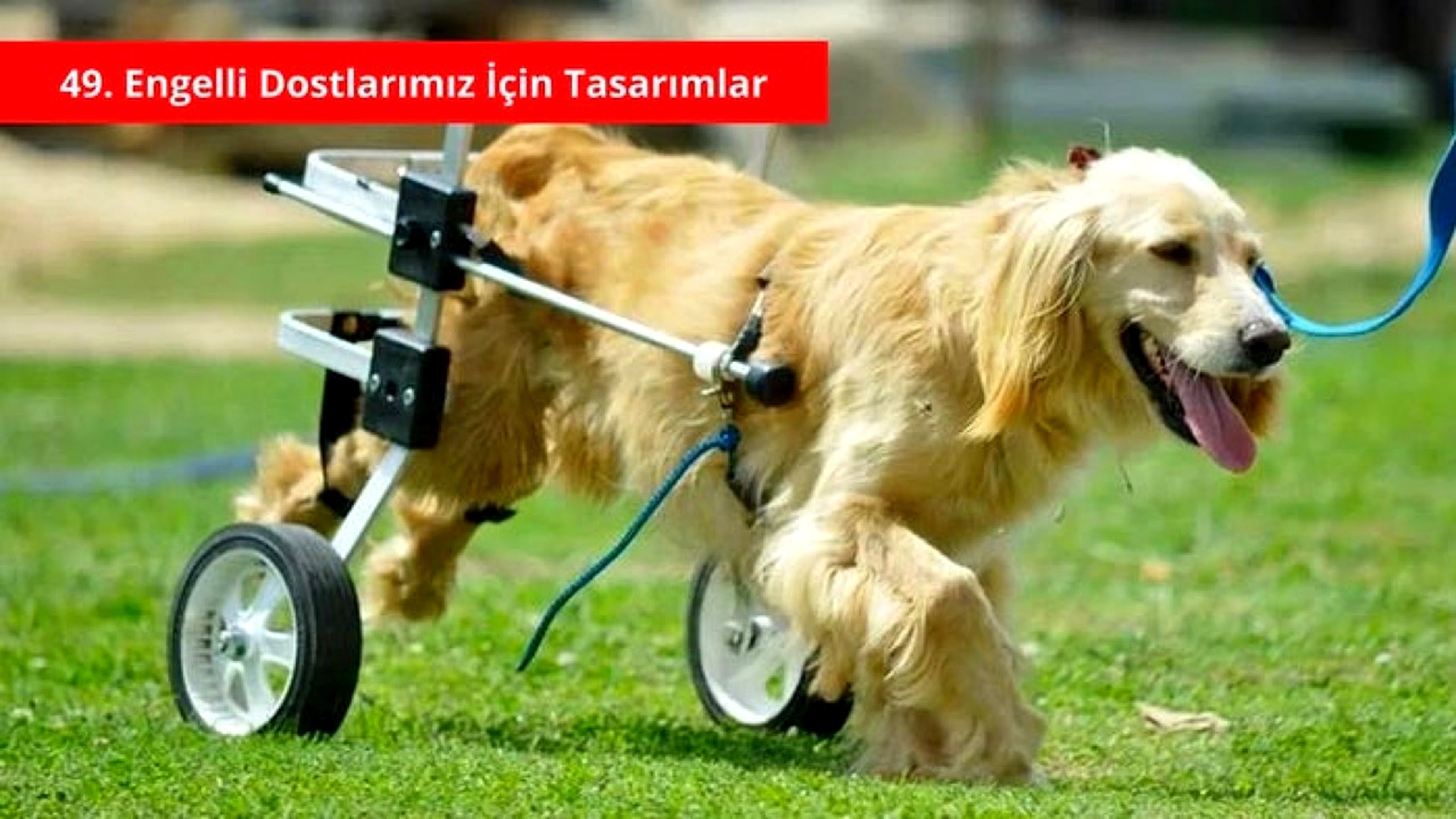 Engelli dostu tasarımlar
