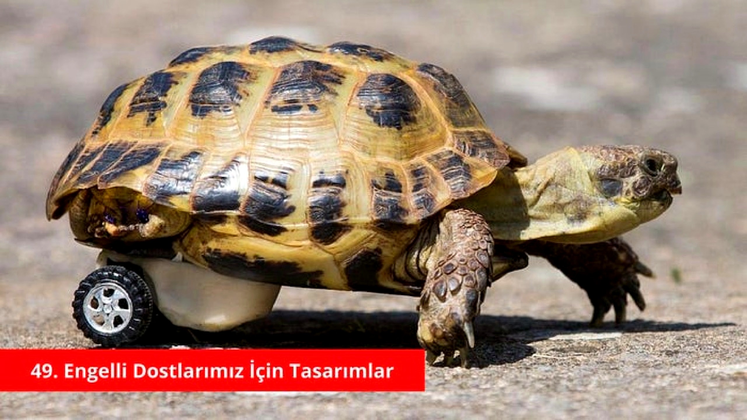 Engelli dostu tasarımlar